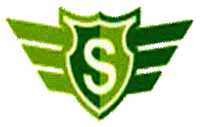 South Dragon Dyeing Ltd. logo